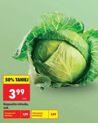 Kapusta młoda szt