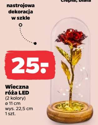 Wieczna róża LED