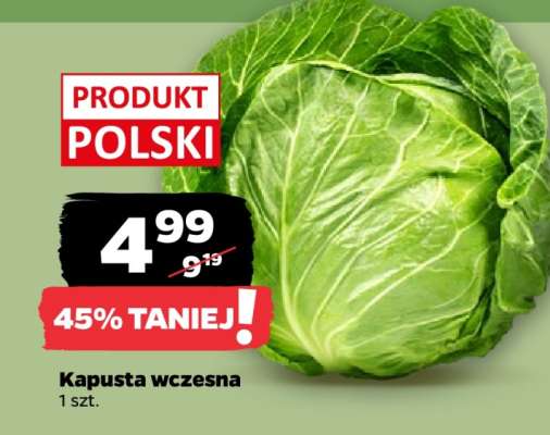 Kapusta wczesna