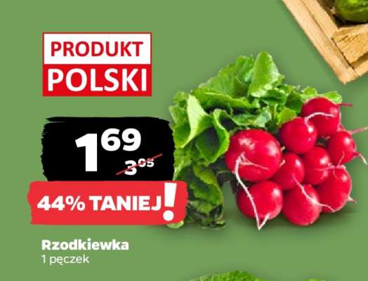 Rzodkiewka