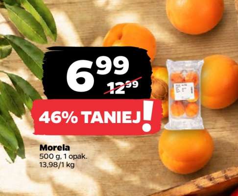 Morela