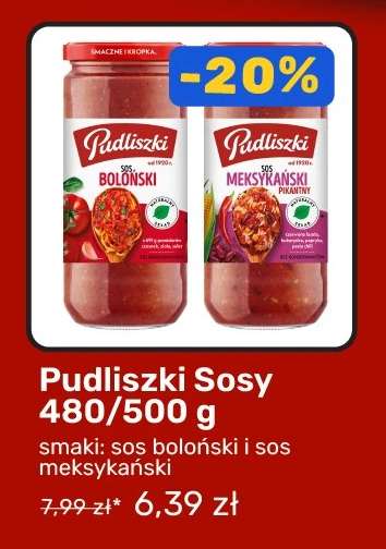 Pudliszki Sosy 480/500 g