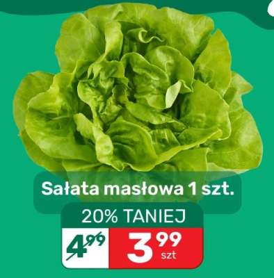Sałata masłowa 1 szt.