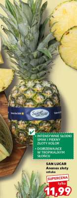 SAN LUCAR Ananas złoty sztuka