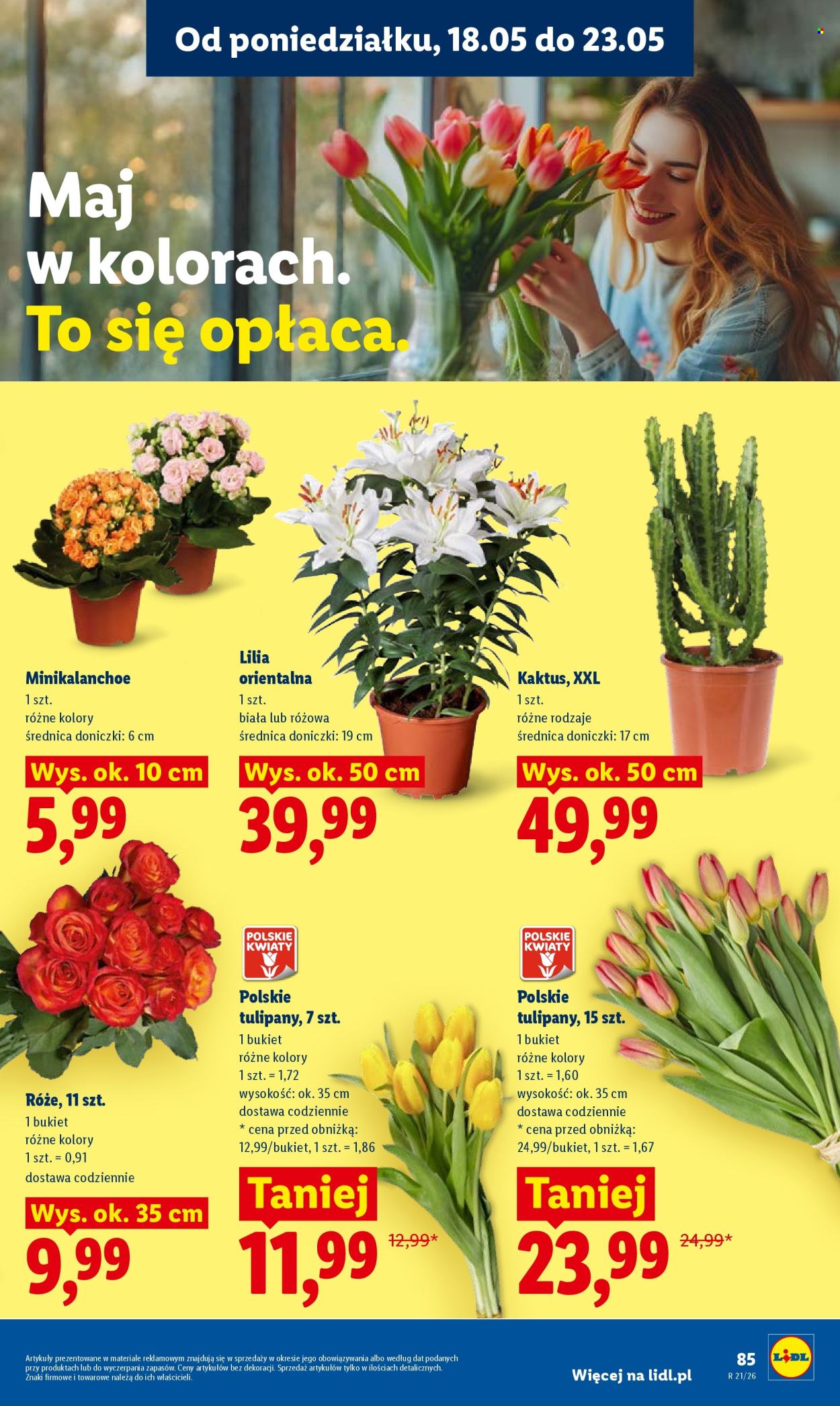 Gazetka Lidl - 18.05.2026 - 20.05.2026. Strona 89