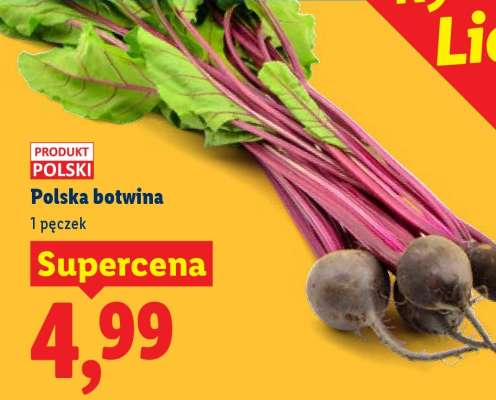 Polska botwina