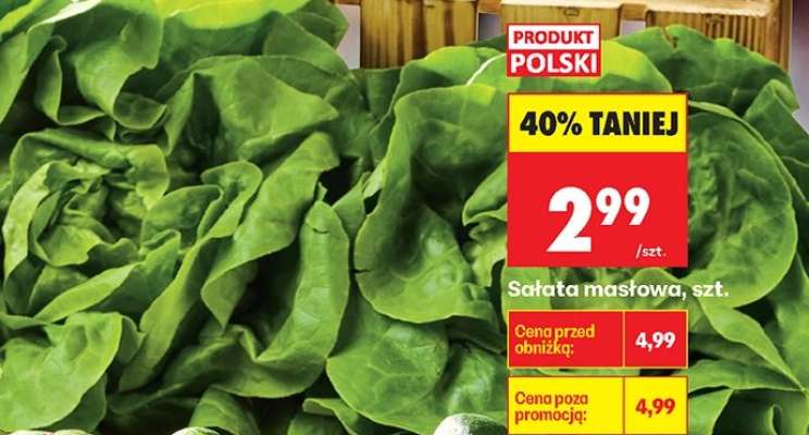 Sałata masłowa , szt