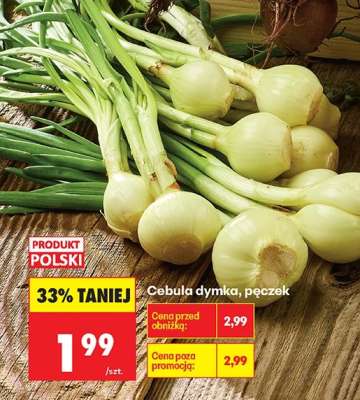 Cebula dymka pęczek