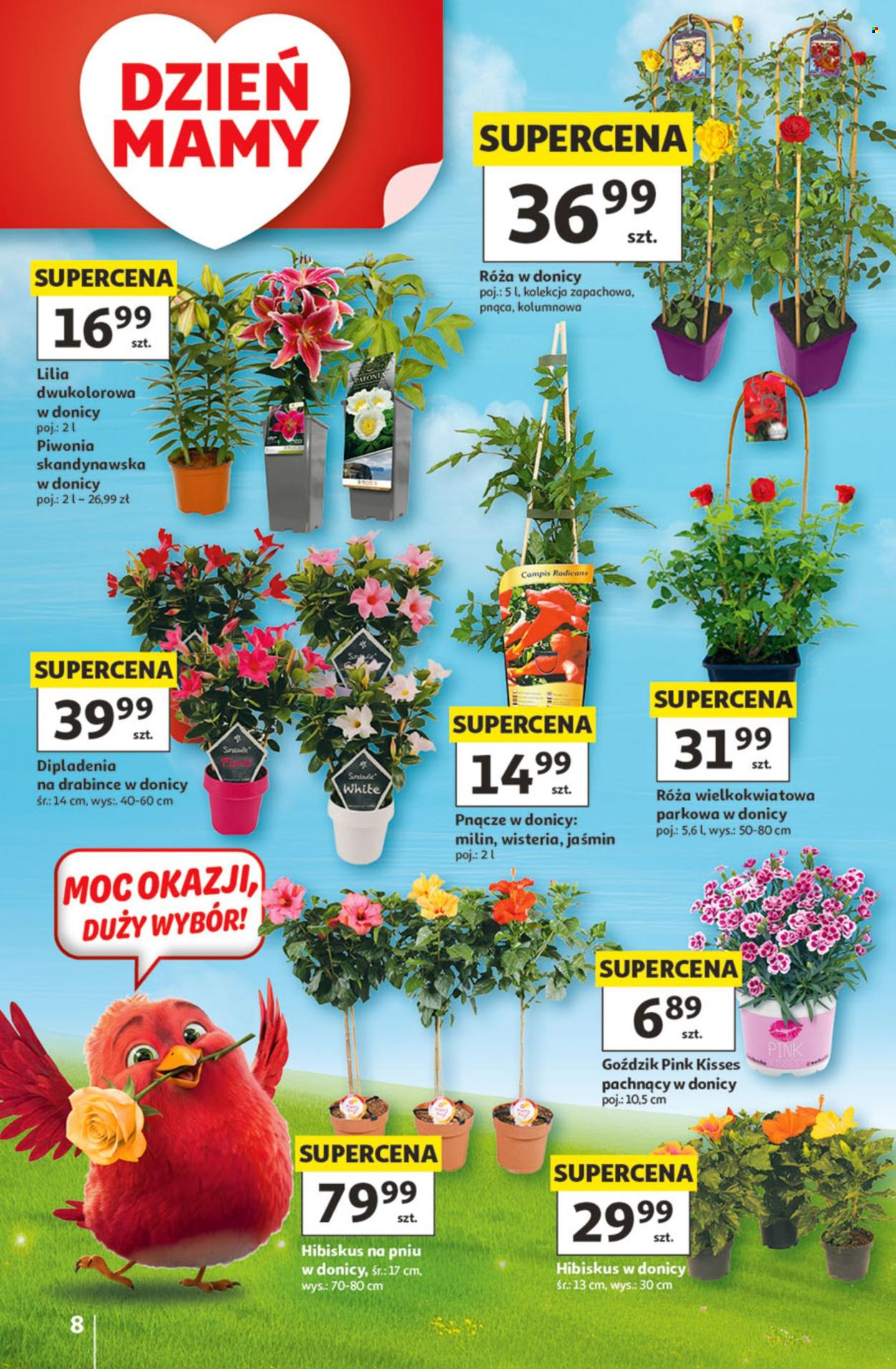 Gazetka Auchan - 21.05.2026 - 27.05.2026. Strona 8