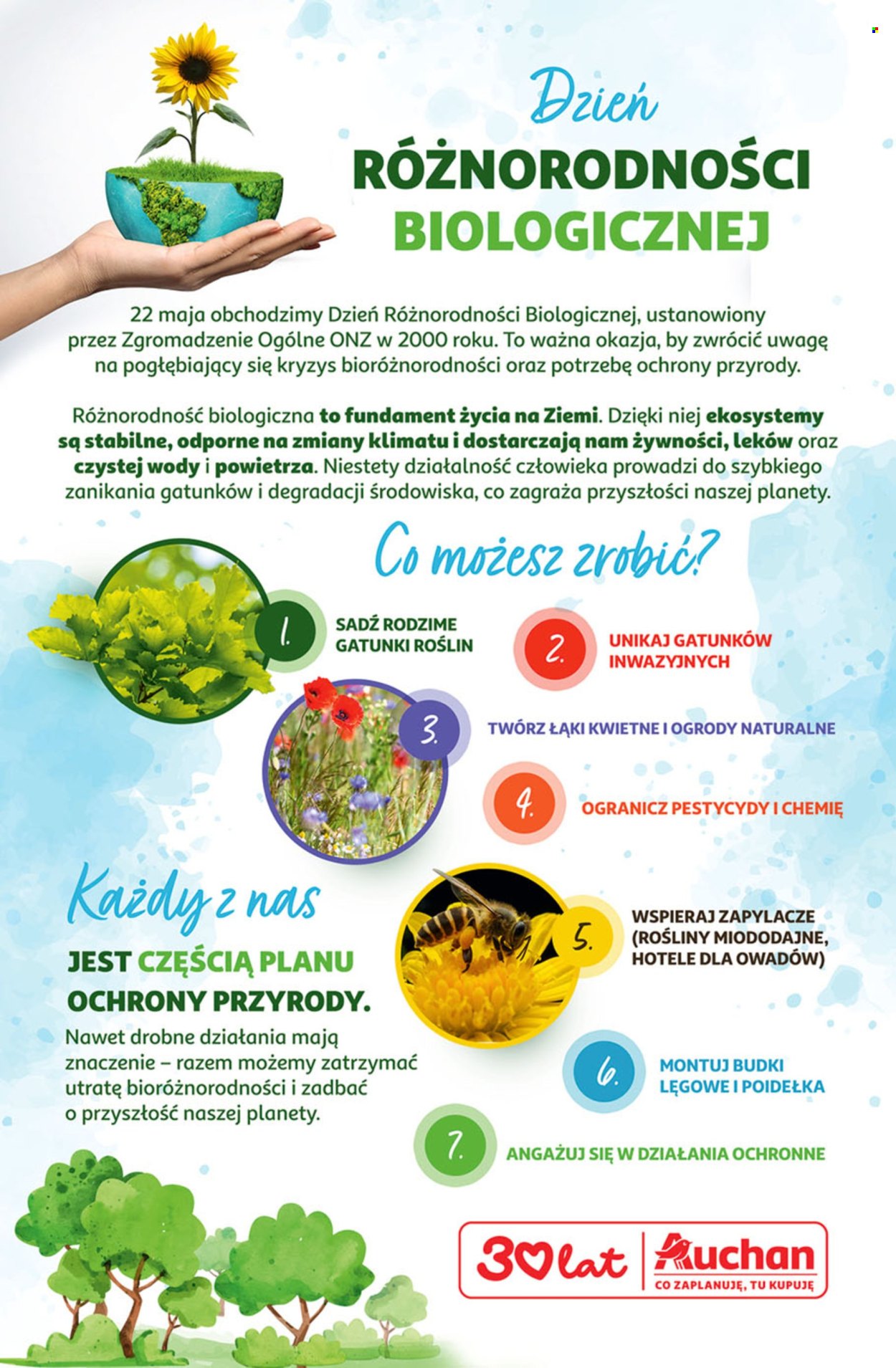 Gazetka Auchan - 21.05.2026 - 27.05.2026. Strona 56