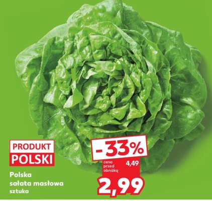 Polska sałata masłowa sztuka