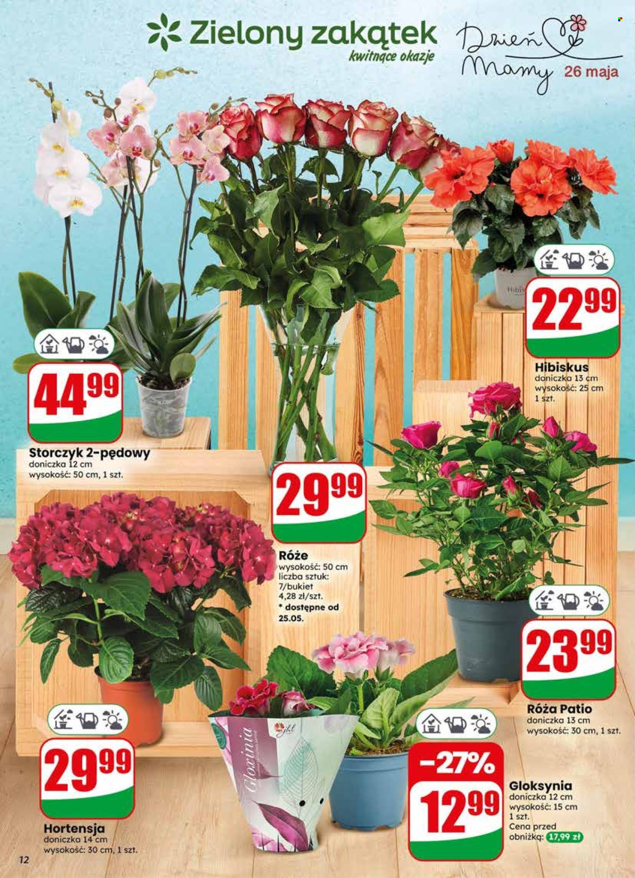 Gazetka Dino - 20.05.2026 - 26.05.2026. Strona 12