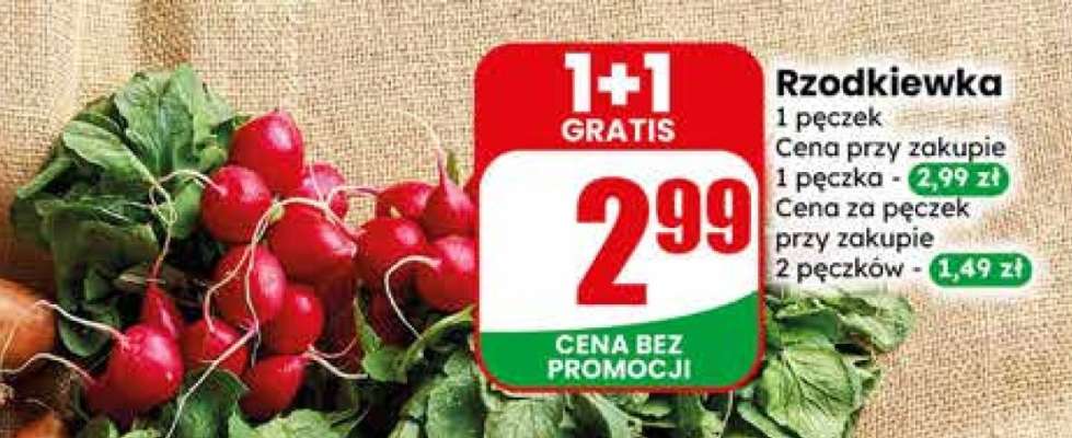 Rzodkiewka