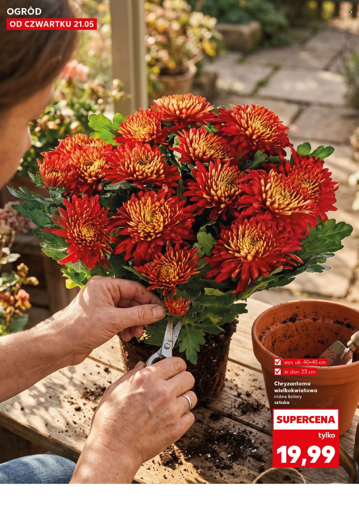 Gazetka Kaufland - 21.05.2026 - 27.05.2026. Strona 10