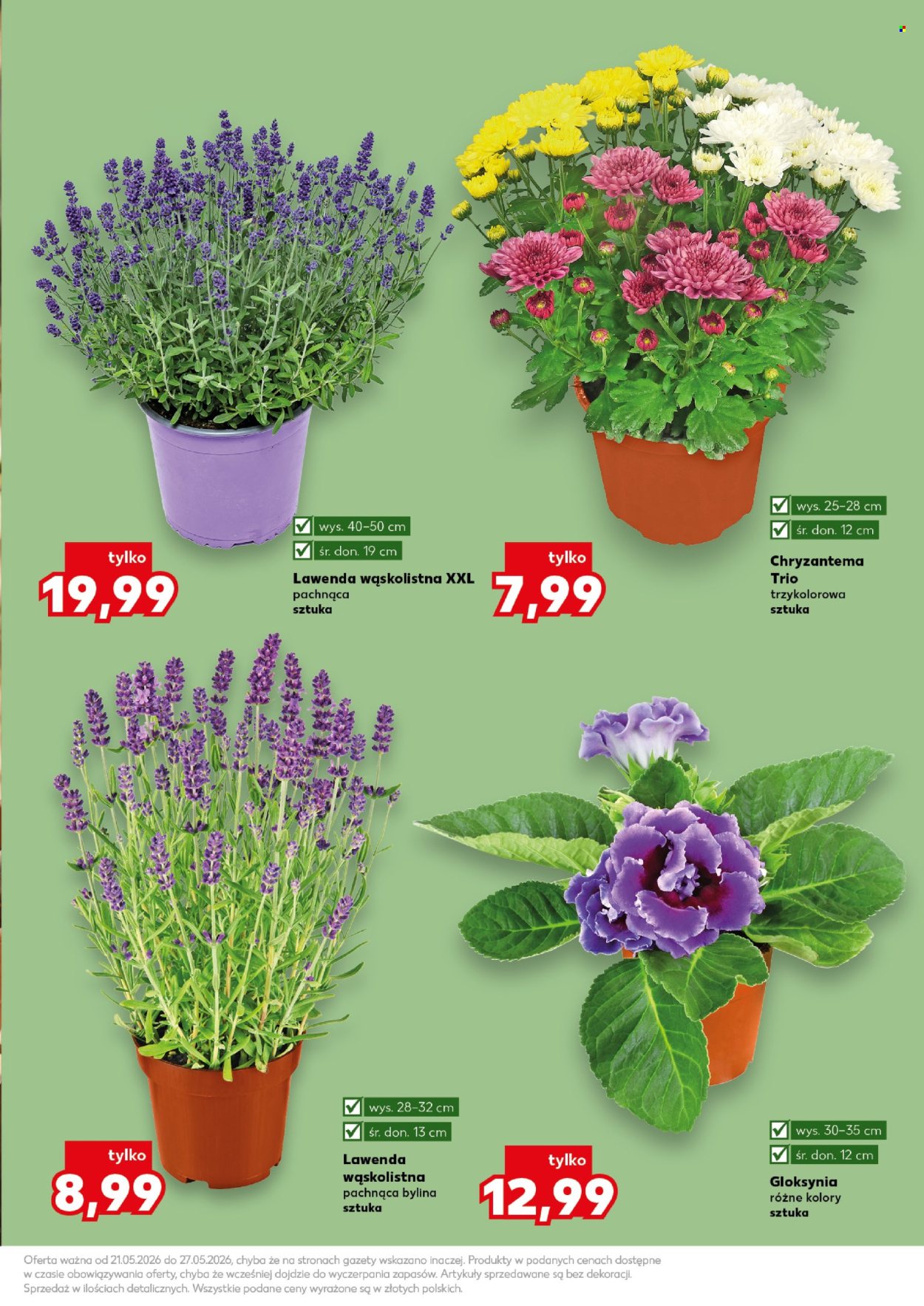 Gazetka Kaufland - 21.05.2026 - 27.05.2026. Strona 11