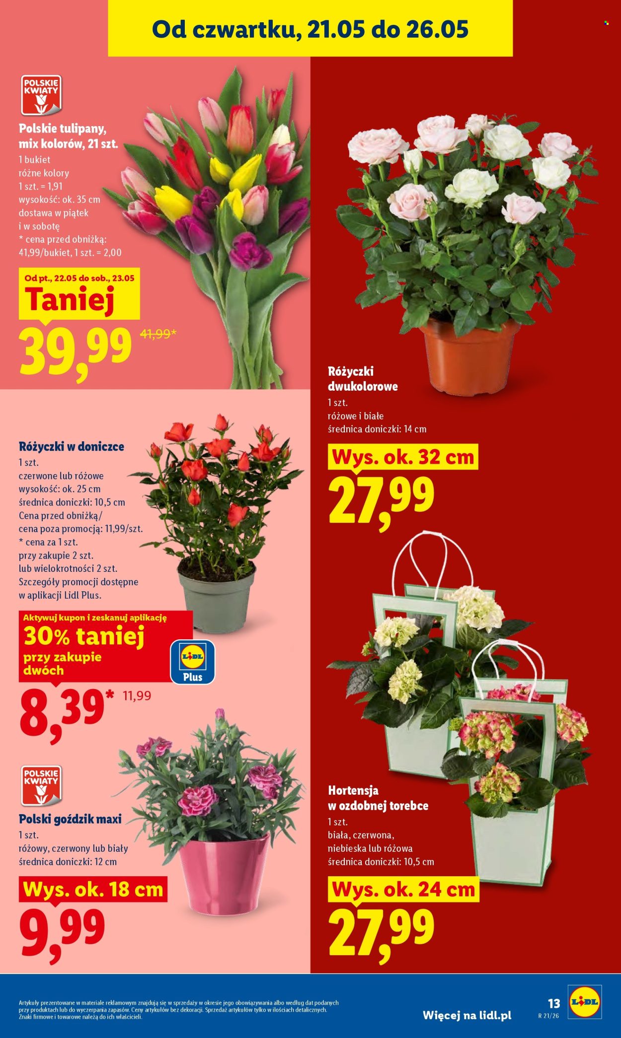 Gazetka Lidl - 21.05.2026 - 23.05.2026. Strona 13