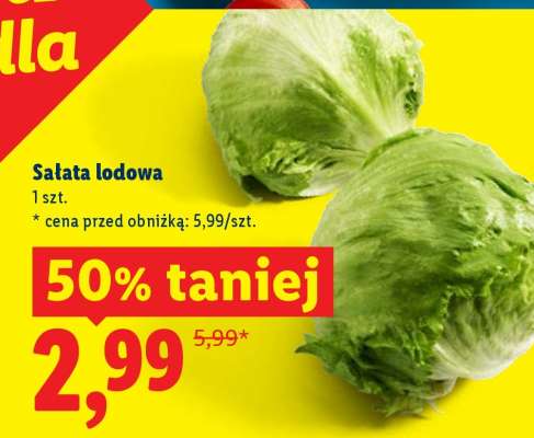 Sałata lodowa