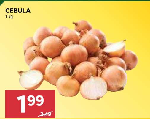 Cebula
