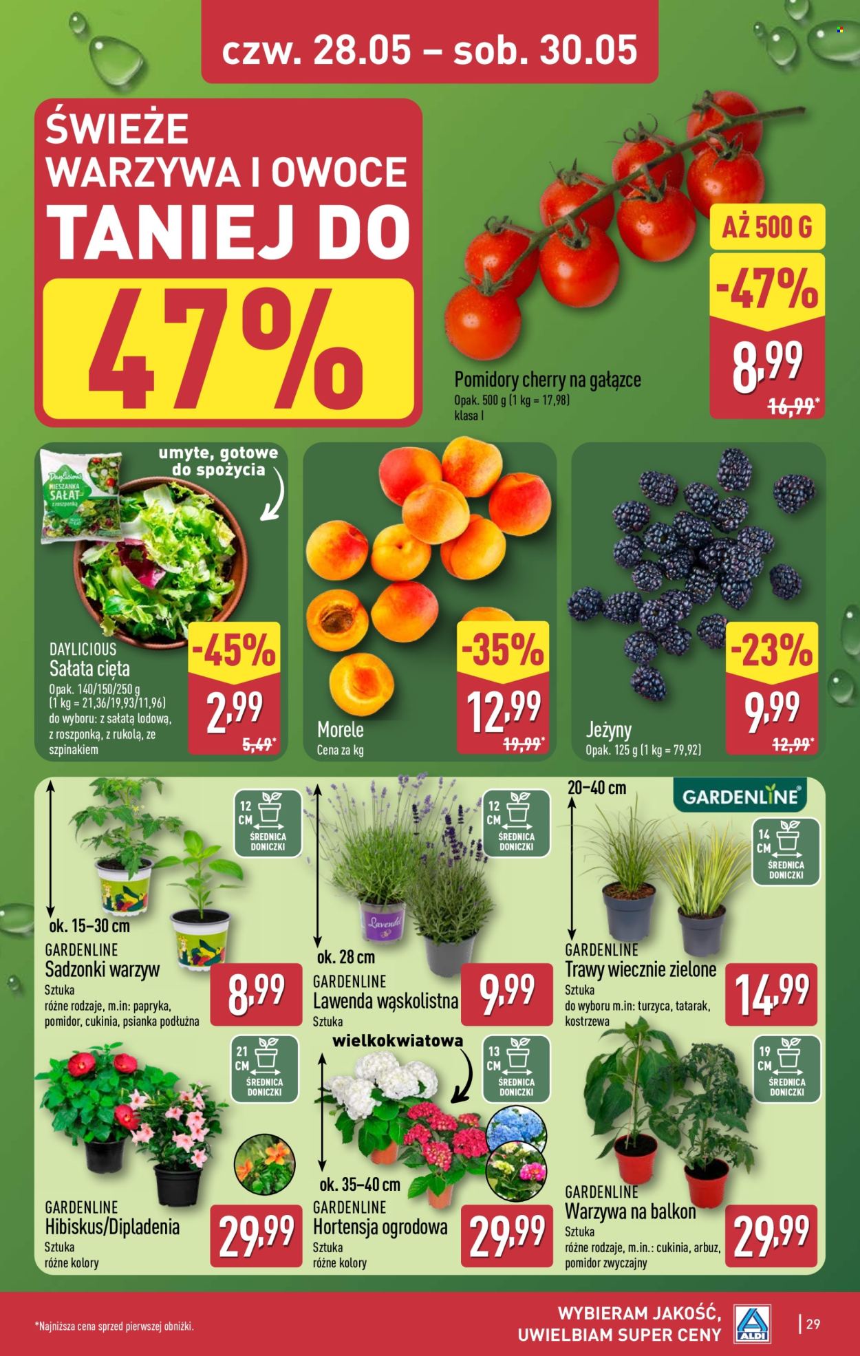Gazetka ALDI - 25.05.2026 - 30.05.2026. Strona 29
