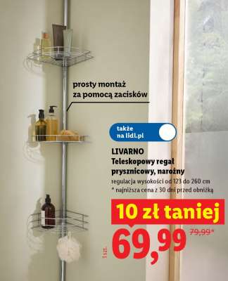 LIVARNO Teleskopowy regał prysznicowy, narożny