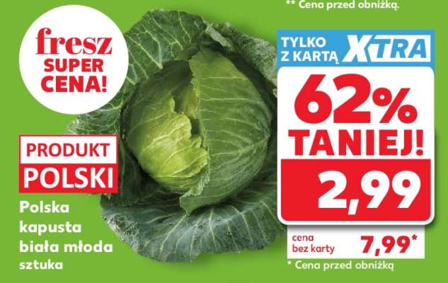 Polska kapusta biała młoda sztuka
