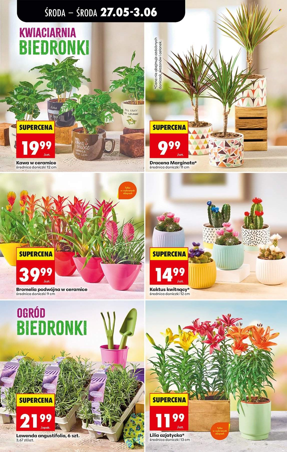 Gazetka Biedronka - 27.05.2026 - 3.06.2026. Strona 68