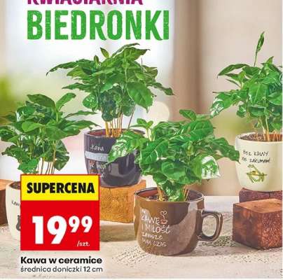Kawa w ceramice
