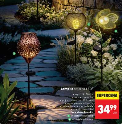 Lampka solarna LED