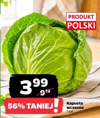 Kapusta wczesna