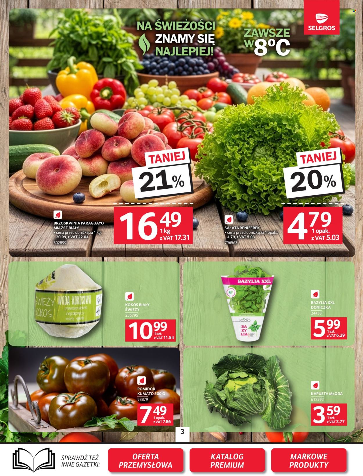 Gazetka Selgros - 2.06.2026 - 17.06.2026. Strona 3