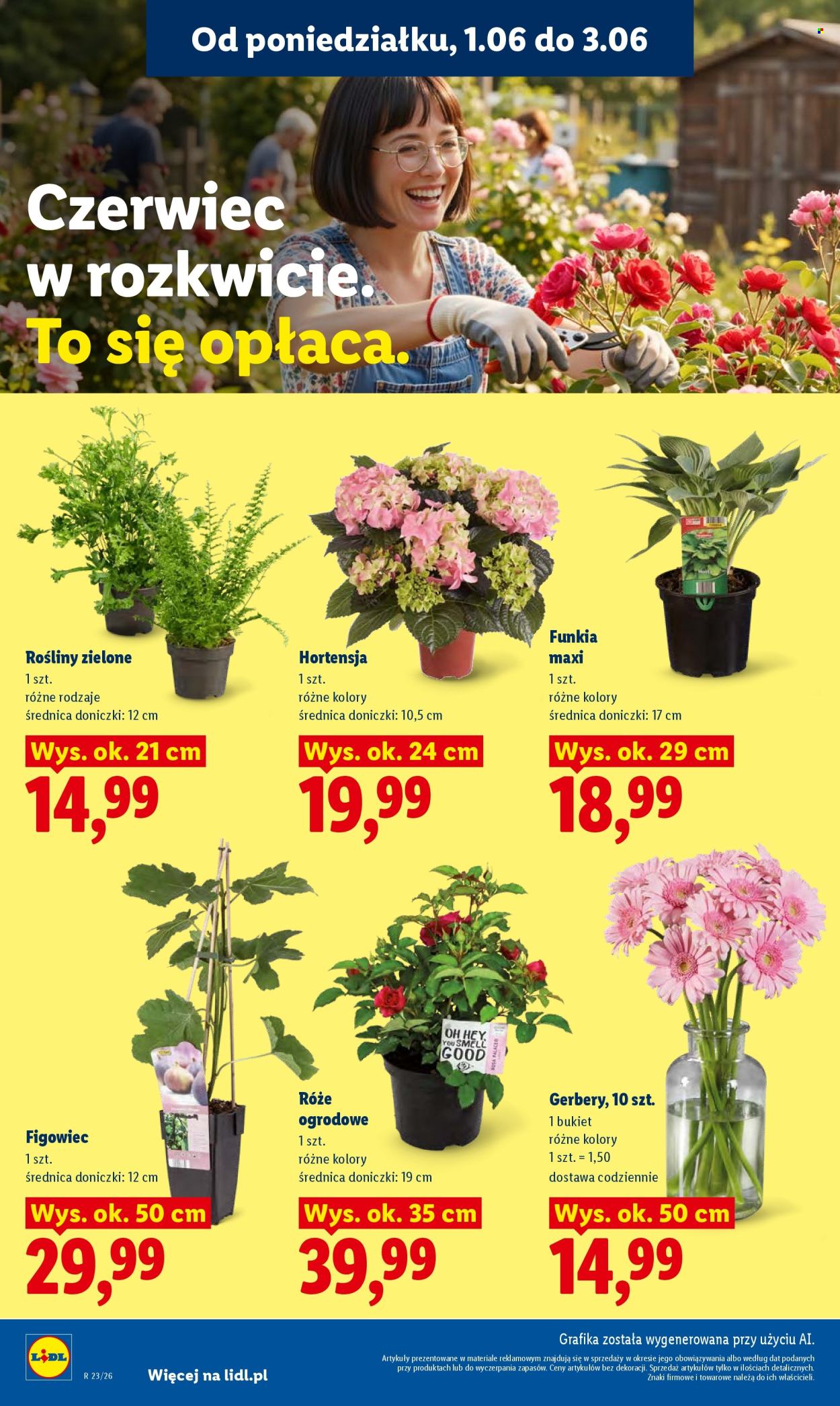 Gazetka Lidl - 1.06.2026 - 3.06.2026. Strona 106