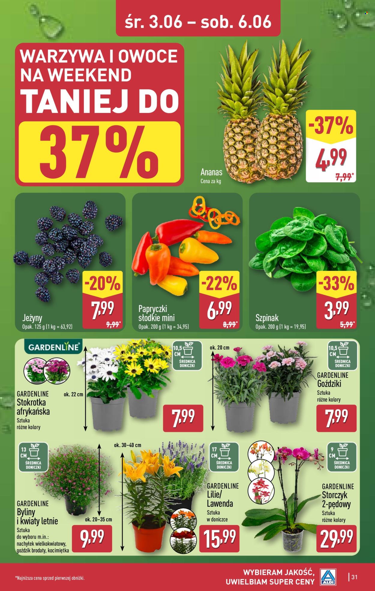 Gazetka ALDI - 1.06.2026 - 6.06.2026. Strona 31