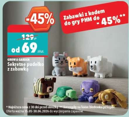 Sekretne pudełko z zabawką