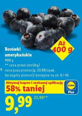 Borówki amerykańskie