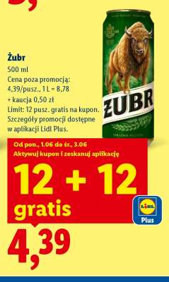 Żubr