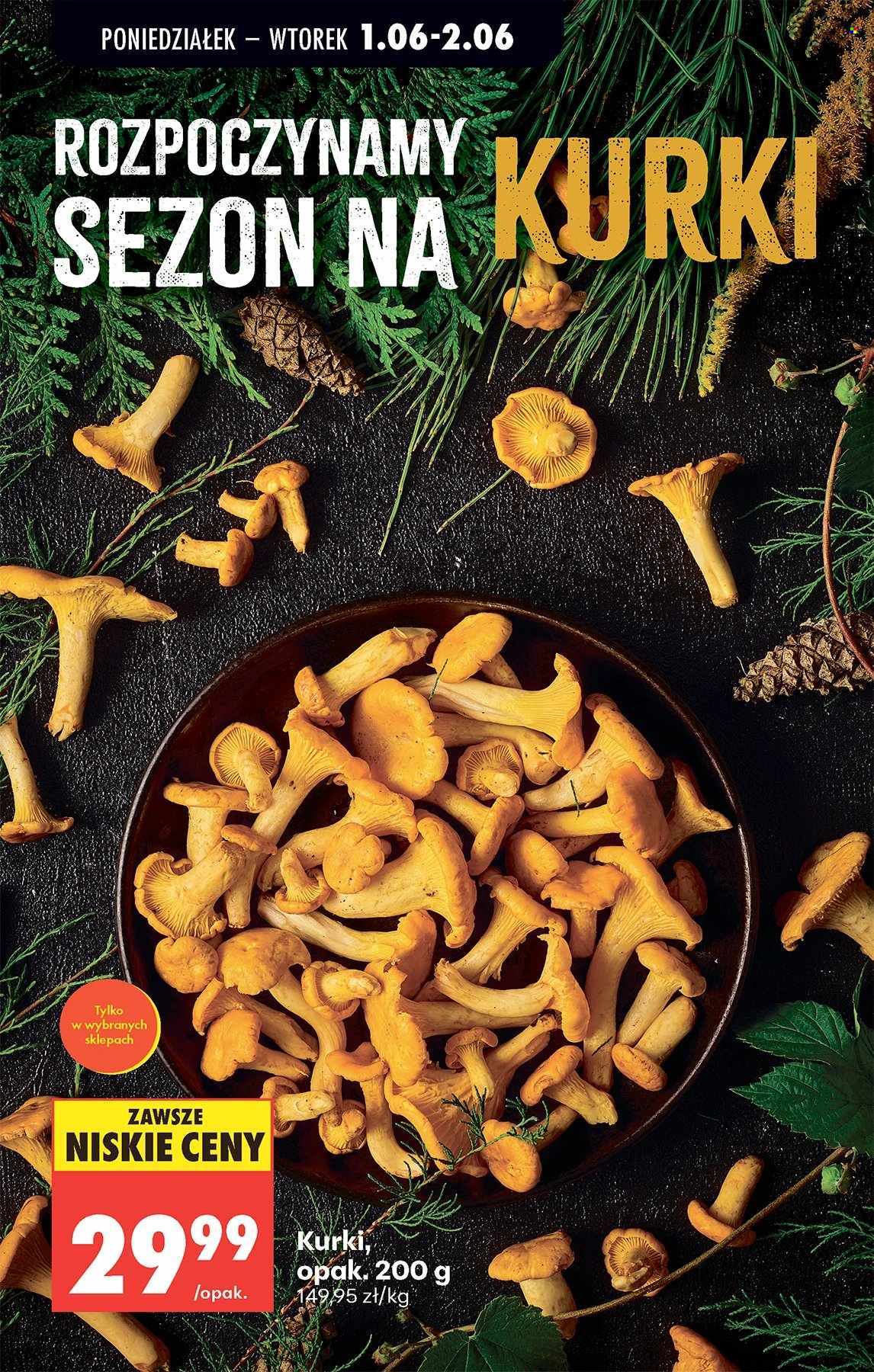Gazetka Biedronka - 1.06.2026 - 6.06.2026. Strona 84