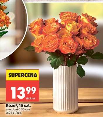 Róźa 15 szt