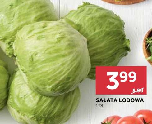 Sałata lodowa