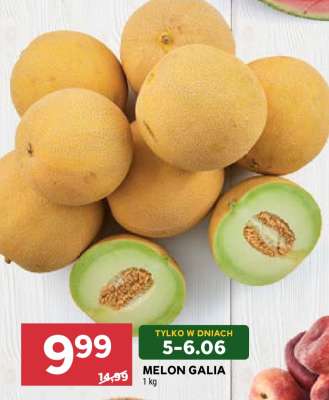Melon galia