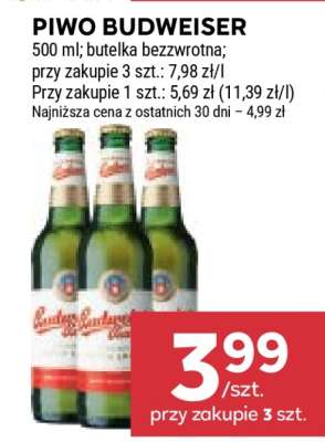 Piwo Budweiser