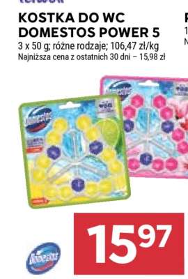 KOSTKA DO WC DOMESTOS POWER 5