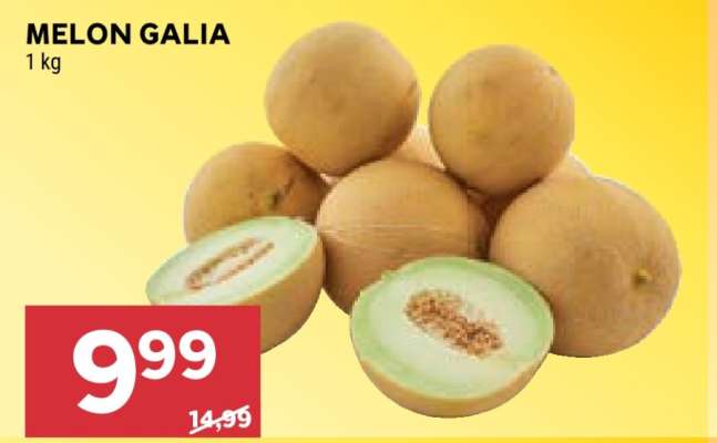 Melon galia