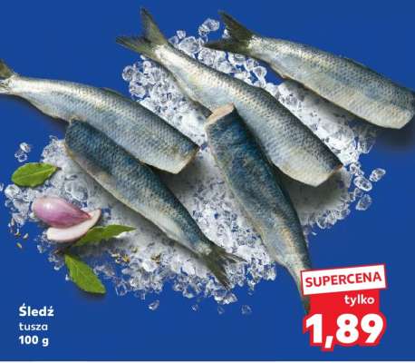 Śledź tusza 100 g