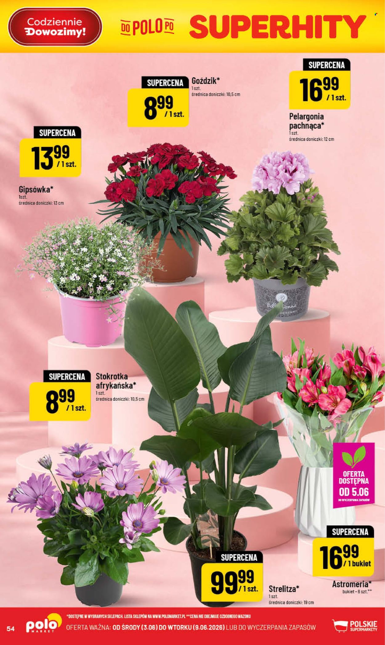 Gazetka Polomarket - 3.06.2026 - 9.06.2026. Strona 54