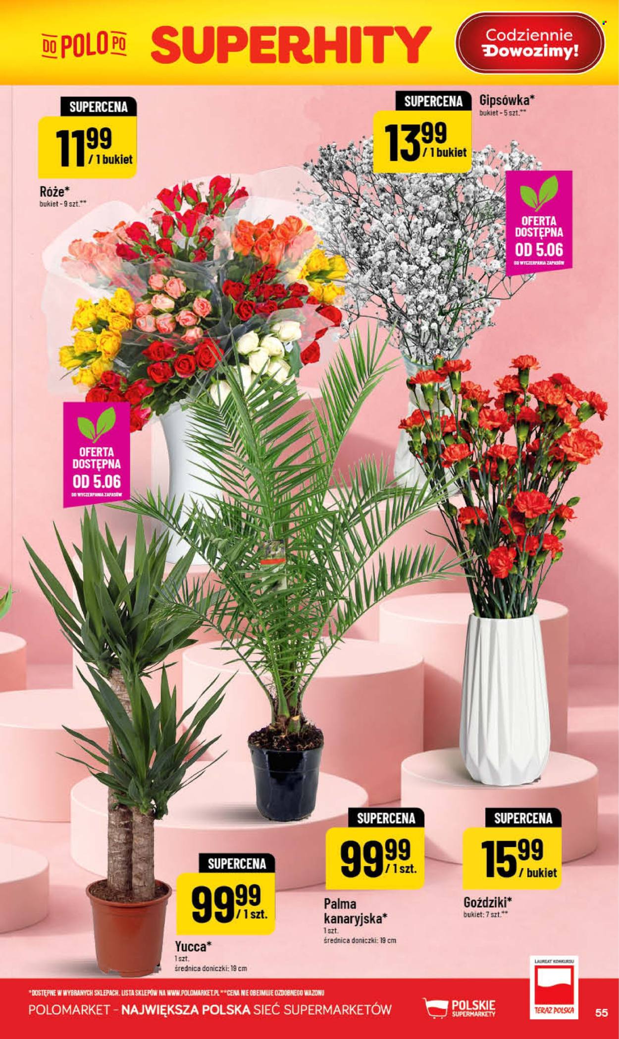 Gazetka Polomarket - 3.06.2026 - 9.06.2026. Strona 55