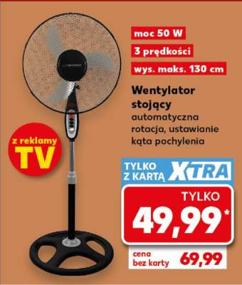 Wentylator stojący