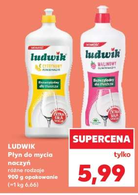 LUDWIK Płyn do mycia naczyń