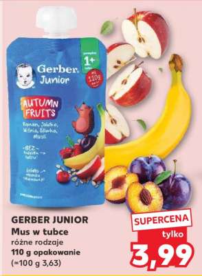 GERBER Junior