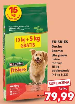 FRISKIES Sucha karma dla psów