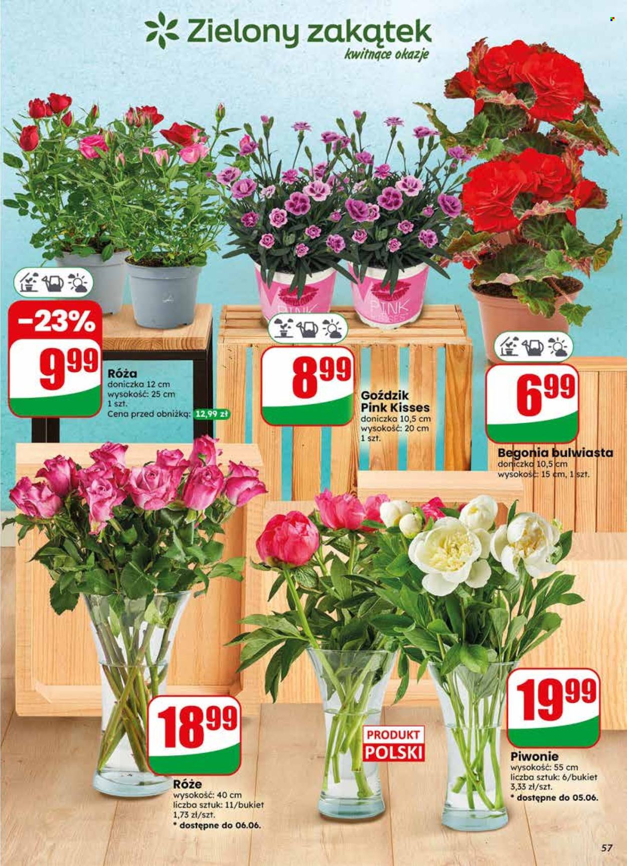 Gazetka Dino - 3.06.2026 - 9.06.2026. Strona 57